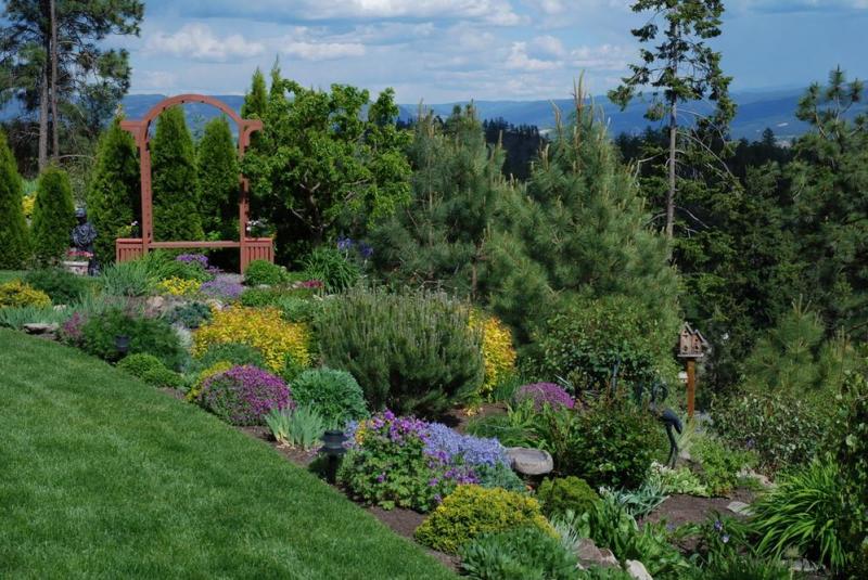 Plantation au jardin, quelles esp&egrave;ces choisir selon les saisons ?